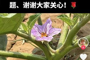 最强二轮秀！王睿泽首节5中4爆砍17分 上一场末节同样独得17分